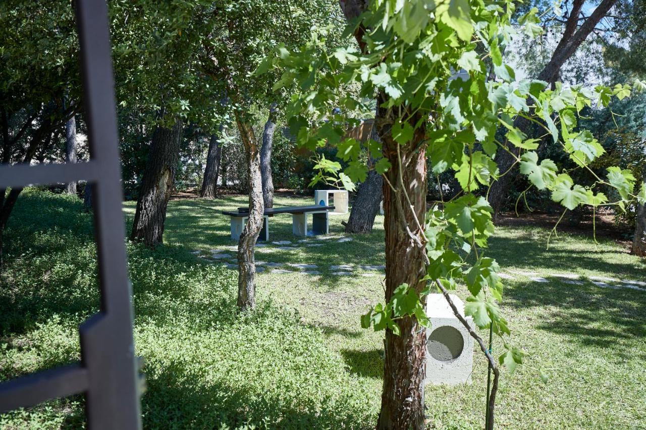 לינה וארוחת בוקר ברנאלדה Borgo San Gaetano מראה חיצוני תמונה